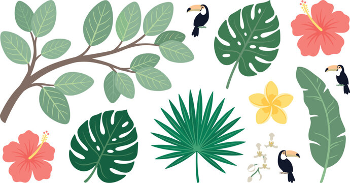 Set of adorable jungle foliage vector bundle with exotic tropical plants tree branches exotic blossoms and tiny birds for summer designs