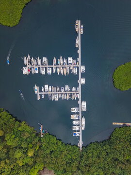 Aerial view of a marina filled with numerous sailboats and yachts docked at piers, surrounded by dense green mangroves in Bastimentos Island, Bocas del Toro Province, Panama.
