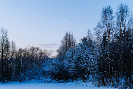 Serene scandinavian winter woodland covered in fresh snow during evening dusk with young moon above trees.