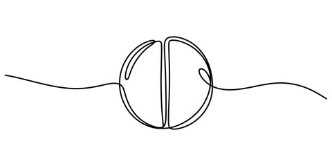 Obraz premium Simple circle divided in half by a single continuous line, abstract graphic representing duality or division, minimalist symbol for concepts.