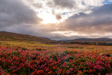 Obraz premium Herbst in den Westfjorden in Island