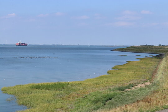 a beautiful view of the westerschelde sea with a bright green tidal salt marsh in a bend of the river in summer