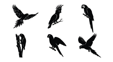 Naklejka premium Black parrot silhouettes depict various flight poses and perching positions