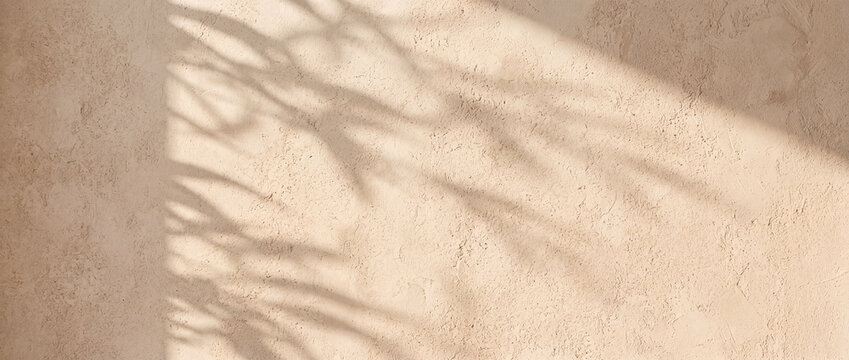 Tropical leaf shadow on beige wall with natural sunlight and textured stucco plaster finish, creating a warm minimalist aesthetic backdrop for cosmetic branding and product mockup