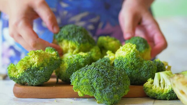 Heap of fresh raw broccoli florets being sorted by hands for a healthy meal preparation