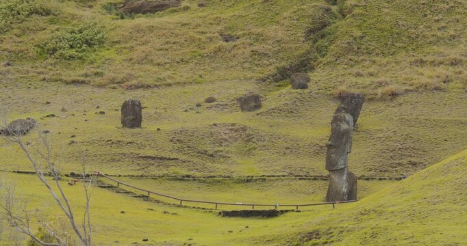 Moais in Rano Raraku