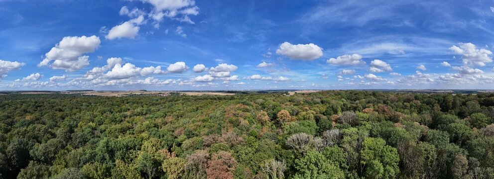 en ao&ucirc;t 2026, apr&egrave;s les canicules &agrave; r&eacute;p&eacute;tition et les fortes chaleurs de l'&eacute;t&eacute; en France, les for&ecirc;ts ont beaucoup souffert du manque de pluie et d'eau. La cime des arbres est brune. 