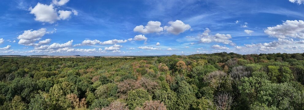 en ao&ucirc;t 2026, apr&egrave;s les canicules &agrave; r&eacute;p&eacute;tition et les fortes chaleurs de l'&eacute;t&eacute; en France, les for&ecirc;ts ont beaucoup souffert du manque de pluie et d'eau. La cime des arbres est brune. 