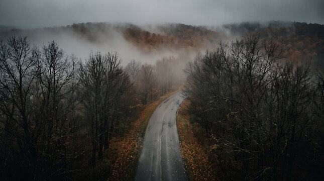 Aerial view of a winding asphalt road cutting through a dark, moody foggy forest
