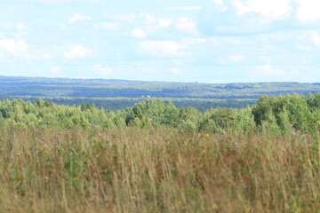 Fototapeta premium Summer landscape of northeastern Europe, field, green forest, blue sky, clouds on a summer day