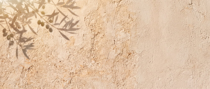 Olive branch shadow on beige plaster wall with natural sunlight effect, rustic stone texture, and copy space for organic cosmetics branding, product mockup display, or web banner background