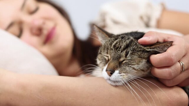 Gray tabby closes its eyes as owner gently strokes its cheek. Relaxed feline enjoys affectionate touch and remains completely peaceful.