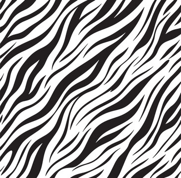 Black and white zebra stripe pattern vector illustration for textile design and creative graphic backgrounds