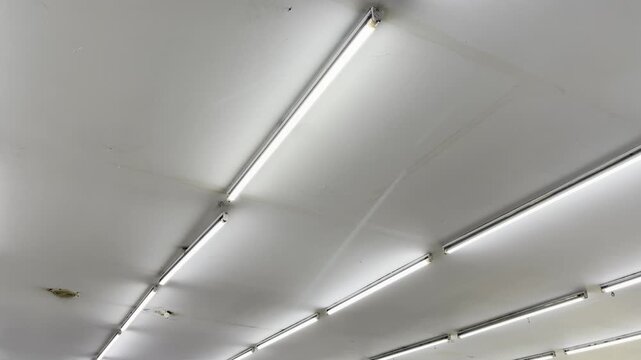 Row of fluorescent neon lights glowing on commercial building ceiling