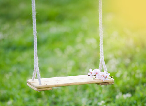 Hanging swings on a background of green grass with flying almonds