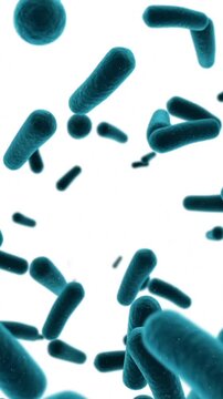 Animation of heart and virus cells floating on white background