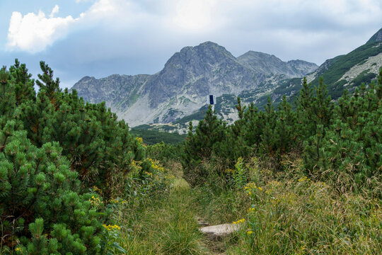 mountain landscape, Pietrele Valley, Retezat Mountains, Romania 