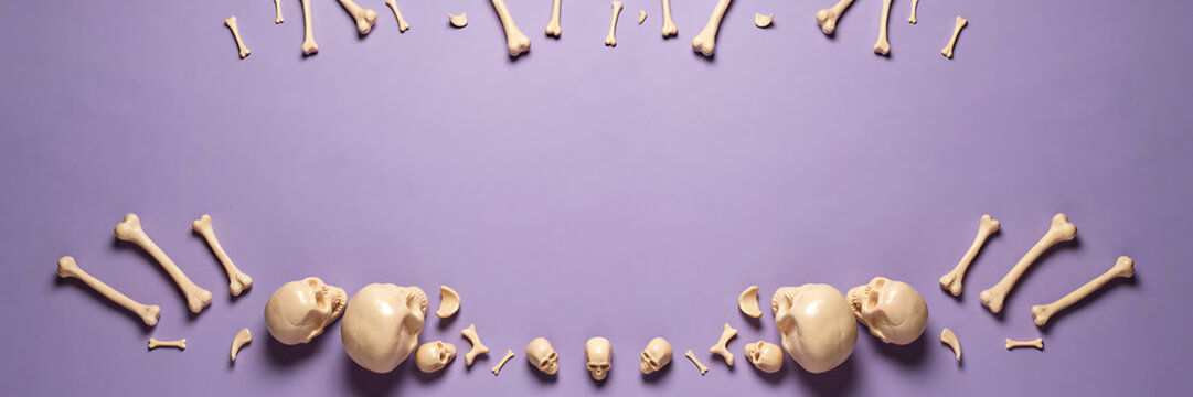 Human skulls and scattered bones arranged in a curved border on a purple background, for a halloween, or medical anatomy, themed shot