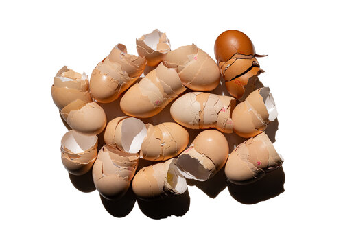 Chicken eggshells arranged in a group. Transparent background with alpha channel - PNG 