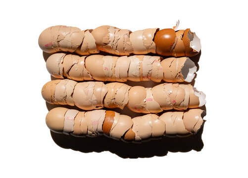 Chicken eggshells arranged in a line, one after another. Transparent background with alpha channel - PNG 