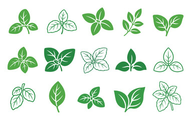 Obraz premium Fresh green basil leaves vector icon set representing organic herbs and aromatic spices for healthy cooking, culinary seasoning, and natural food design