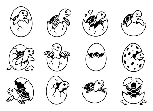 Baby turtle hatching from egg vector icons set featuring cute cartoon sea turtles emerging from cracked shells in various poses for creative design projects