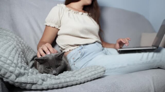 Woman works on laptop while British Shorthair eats sausage beside her and receives gentle head strokes. Slow motion shows affectionate remote work companionship.