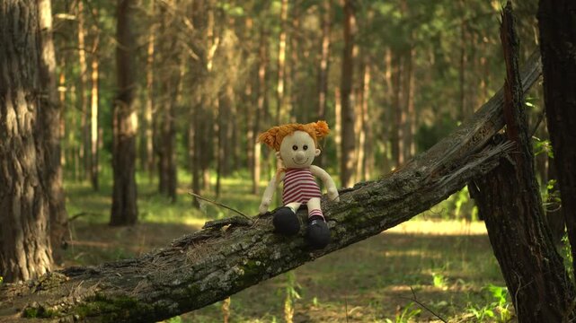 Plush Girl Doll Sitting on a Tree in the Forest with Smooth Pan Shot