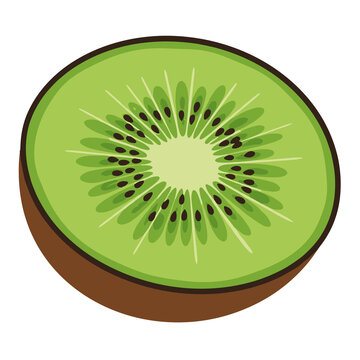 Fresh sliced kiwi fruit half isolated on white background