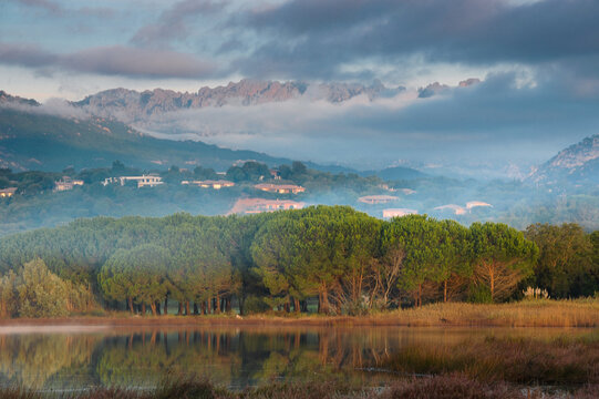 corse
