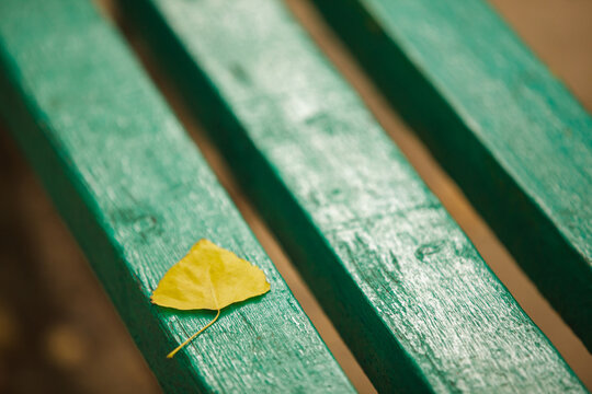 Single bright yellow autumn leaf resting on a weathered green wooden park bench