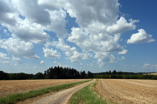 Feldweg bei Oppenhausen