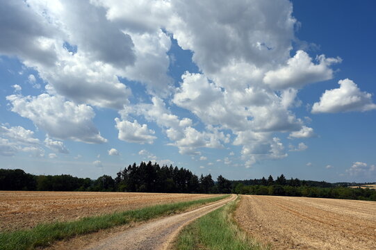 Feldweg bei Oppenhausen
