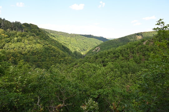 Ehrbachklamm im Hunsr&uuml;ck