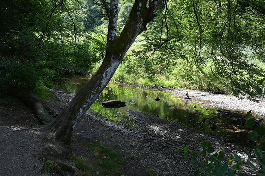 Ehrbachklamm im Hunsr&uuml;ck