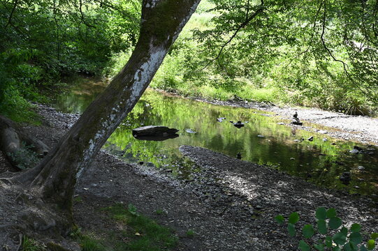 Ehrbachklamm im Hunsr&uuml;ck