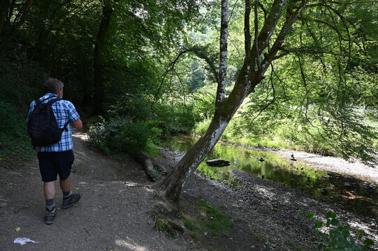 Ehrbachklamm im Hunsr&uuml;ck