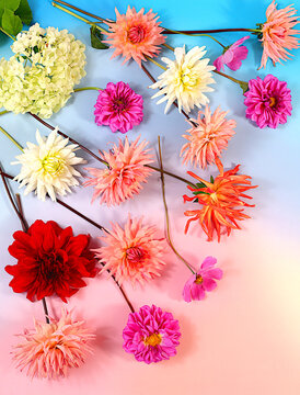 Autumn sunny banner with dahlia flowers, abstract floral arrangement and autumn still life with beautiful flowers, background and template for screen, minimalist holiday concept, greeting card.