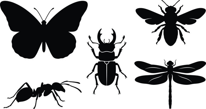 Set of Insect and Butterfly Silhouettes Vector Collection with Black and White Ant, Bee, Beetle, Dragonfly, Ladybug, Wasp, Spider and Scorpion Designs
