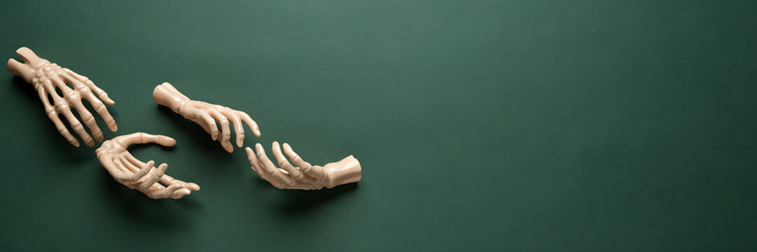 Three plastic human skeleton hands of different sizes arranged on a solid dark green background, for medical anatomy, or biology study concepts