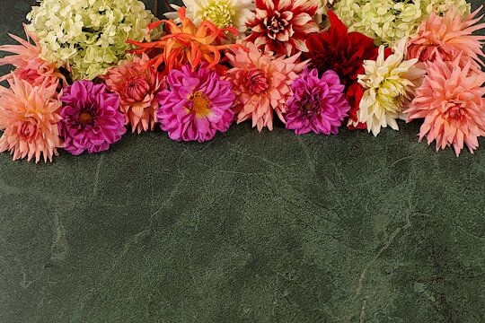 Autumn still life with beautiful flowers. Autumn sunny banner with dahlia flowers and space for text, abstract floral composition and background and template for screen, minimalist holiday concept