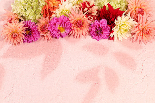 Autumn sunny banner with dahlia flowers and space for text, abstract floral arrangement and autumn still life with beautiful flowers, background and template for screen, minimalist holiday concept,