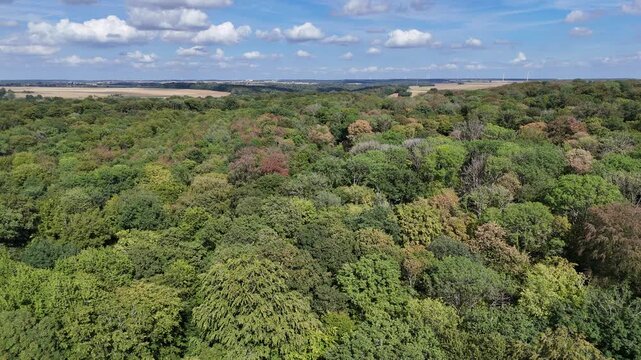 vue a&eacute;rienne au dessus de la cime des arbres de la for&ecirc;t de Boismont, en Meurthe-et- Moselle. Apr&egrave;s les canicules &agrave; r&eacute;p&eacute;tition et les fortes chaleurs de l'&eacute;t&eacute; 2026,  la v&eacute;g&eacute;tation est s&egrave;che en France