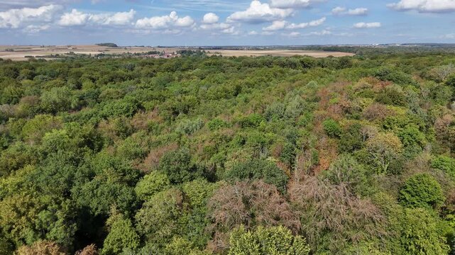 vue a&eacute;rienne au dessus de la cime des arbres de la for&ecirc;t de Boismont, en Meurthe-et- Moselle. Apr&egrave;s les canicules &agrave; r&eacute;p&eacute;tition et les fortes chaleurs de l'&eacute;t&eacute; 2026,  la v&eacute;g&eacute;tation est s&egrave;che en France