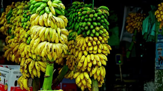 Large bunches of ripe yellow and green bananas hang side by side at a shaded fruit stall, a vivid display of fresh tropical produce sold every day in Sri Lanka, a staple of local diets.
