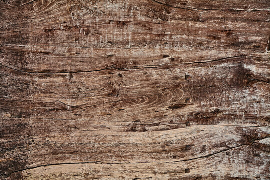 Old knotty wood plank background with wormholes and cracked texture