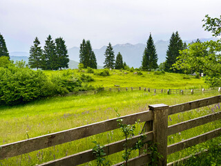 Fototapeta premium Grüne Almwiese mit Holzzaun und Bergpanorama in den Julischen Alpen Sloweniens