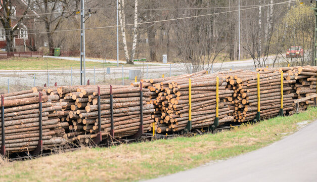 Skinnskatteberg, Sweden - April 18 2026: Stacked timber logs loaded on railway wagons representing forestry and wood industry transport.