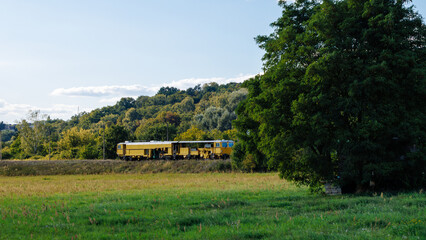 A yellow railway maintenance train on tracks in a distance with a large green tree in a meadow on a sunny summer day. © Dmytro