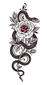 Vintage traditional snake and rose tattoo design. Old school reptile illustration with floral elements, thorns, and red accent. Classic blackwork style artwork